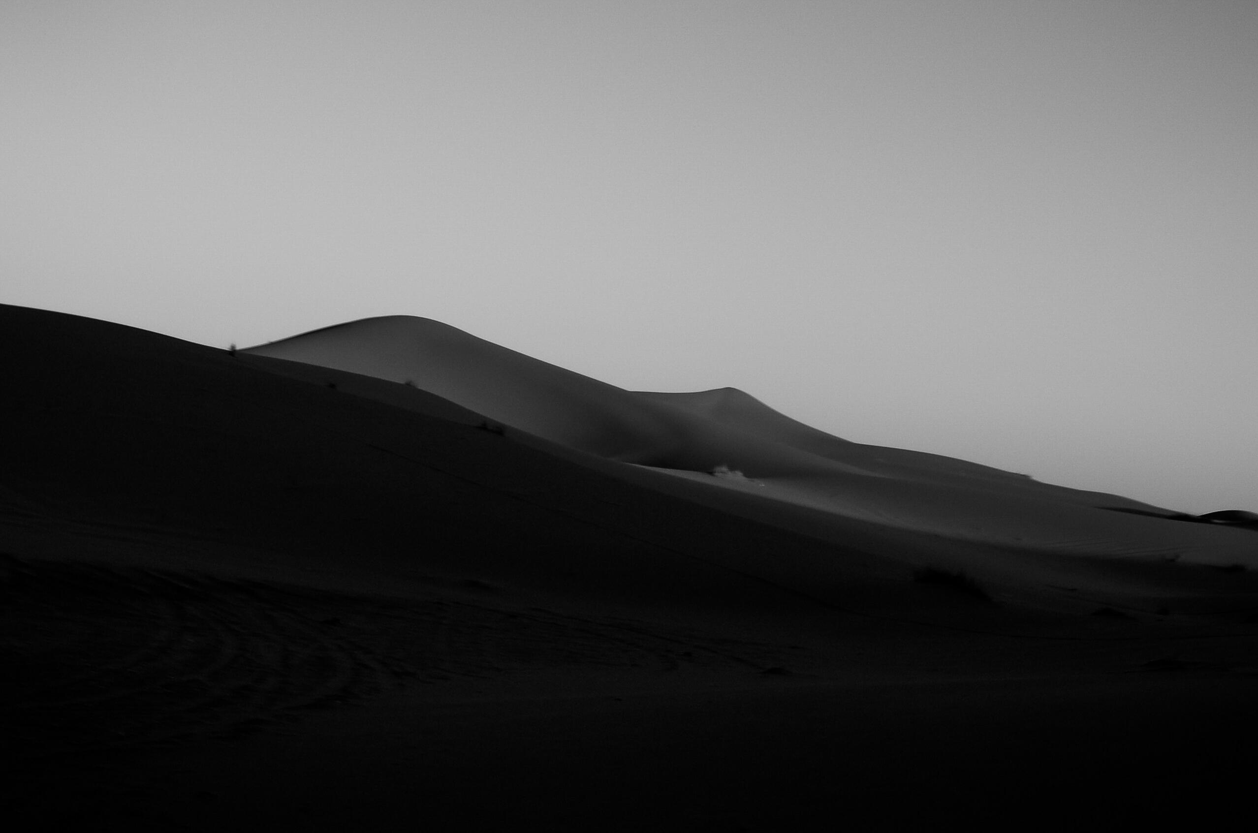 Schwarz-weiße Dünenlandschaft als Markenmotiv